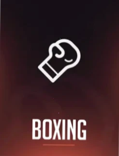 Rainbet Boxing Wetten Österreich